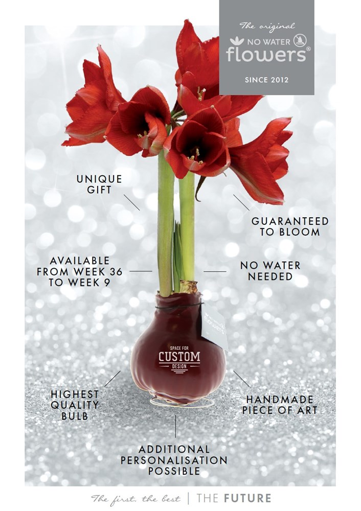 No Water Flowers® - Formz modern in luxury box, Red