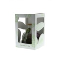 Plant terrarium erlenmeyer - ecosystem in giftbox