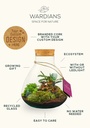 Plant terrarium bottle - ecosystem in giftbox